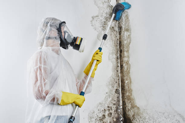 Best Mold Testing  in Fairchild Af, WA