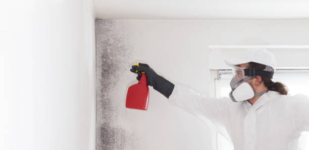 Best Professional Mold Removal  in Fairchild Af, WA