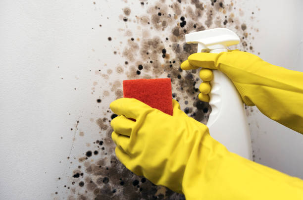 Best Water Damage Restoration  in Fairchild Af, WA
